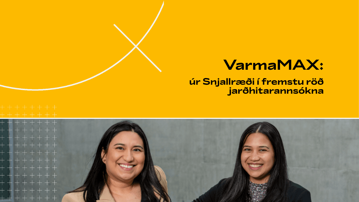 VarmaMAX-teymið úr Snjallræði í fremstu röð jarðhitarannsókna